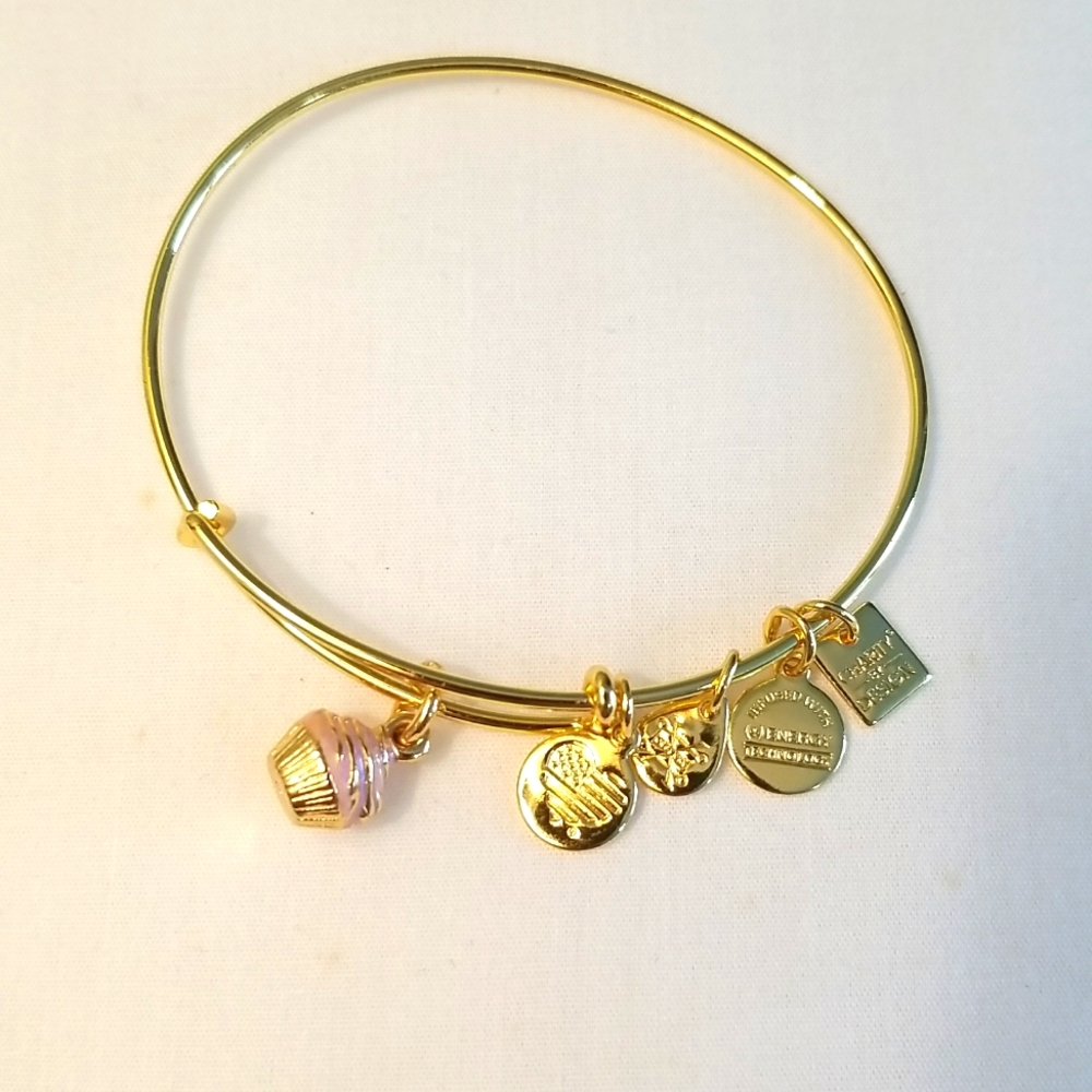 Alex and Ani Bracelet